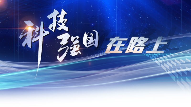 企业级搜索引擎：如何选择最适合的解决方案**
