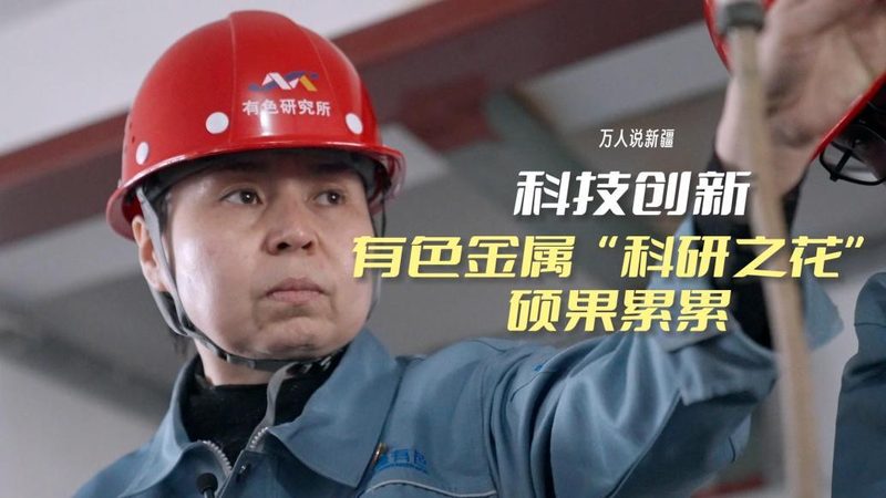 定制方案，打造企业IT系统新高度**